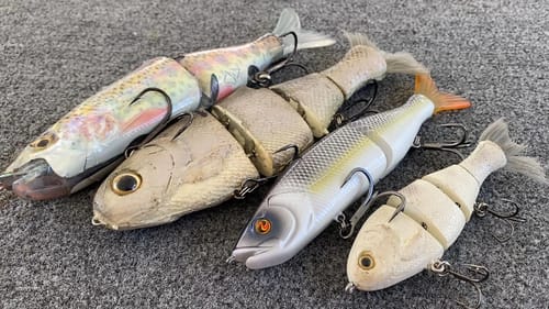 Catch the Biggest Bass Of The Year!