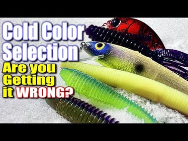 Why Your Bass Lure Color Selection is WRONG In Cold Water!