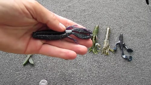 Fishing Tackle Set Up for Pitching to Bass