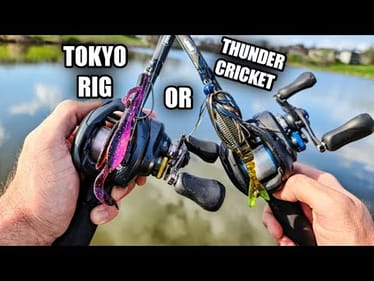 Thunder Cricket and Tokyo Rig | Bank Fishing for Bass