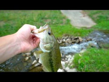 Tiny Urban Creek Fishing In Dallas Texas