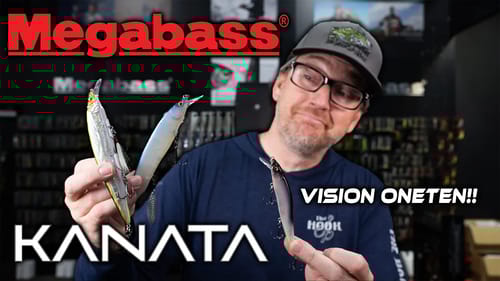 This OVERSIZED Jerkbait Has Won Pro's Thousands Of Dollars Yet Nobody Is Throwing It!?