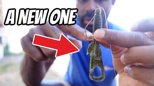 A New Creature Bait from Zman