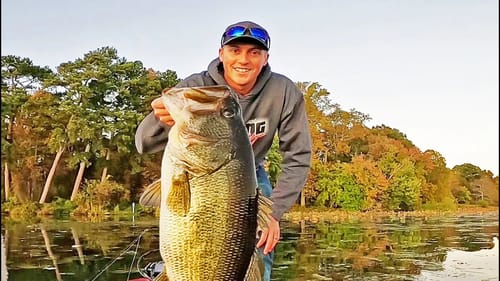Catching GIANT BASS on TOPWATER! Frog Fishing!