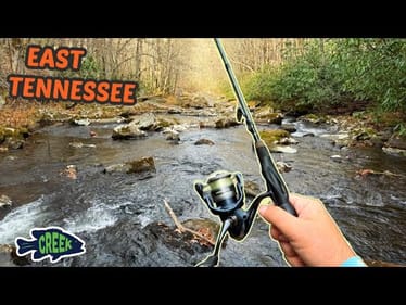 Rooster Tail Creek Trout Fishing