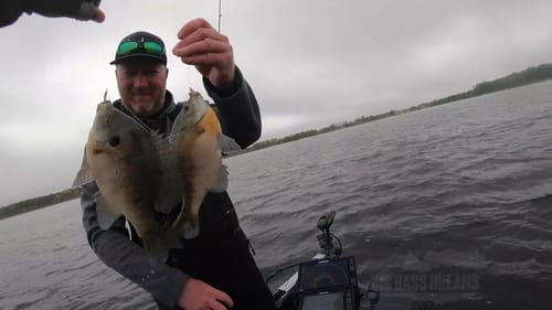 Big Bluegill Fishing with Bass Brawl Outdoors