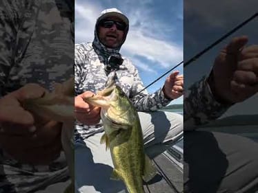 Is This Your Favorite Topwater? It Catches Bass All Fall For Us!
