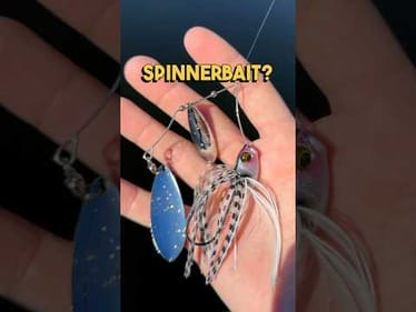 Is the Megabass spinner bait worth $15 #fishing
