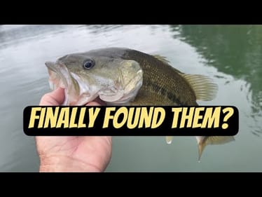 BASS Open/ Smith Lake…Final Day Practice Report