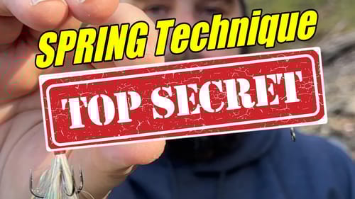 Secret Spring Technique ANYONE Can Use