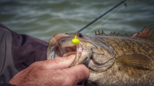Why Use Football Head Jigs With Swimbaits