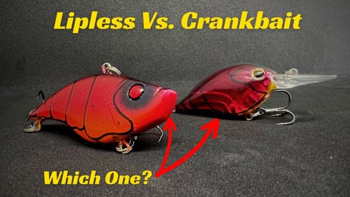 When Do You Choose A Lipless Crankbait Over Diving Crankbait?
