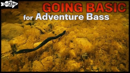 Adventure Bass Travel - Going Basic and Prepared