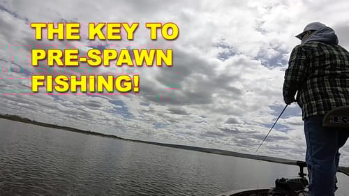 When Does The Pre-Spawn Happen? | Bass Fishing