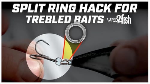 How to Use Double Split Rings to Reduce Losing Fish