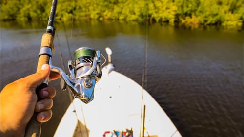 Backwater Sight Fishing