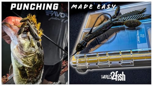 Punching Mats for Bass | 7 Overlooked Tips for Success