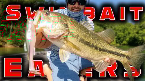 Swimbaits And Topwater! Awesome Summer Bass Fishing!!