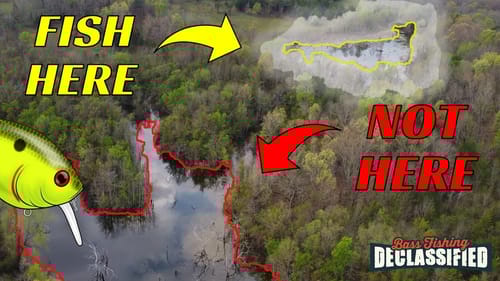 The MOST Important Video About Catching Bass In The Spring You Will Watch