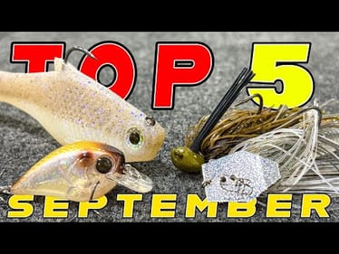 TOP 5 BAITS FOR SEPTEMBER BASS FISHING!