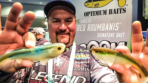 Top 5 Baits for Giant Bass - Roumbanis Fishing Secrets