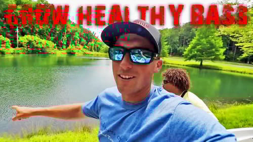 GROW BIG BASS! STOCKING POND With BLUEGILL!! (BASS CANDY!)