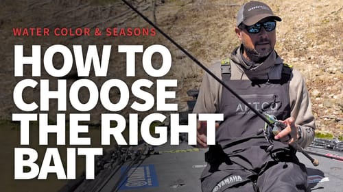Choosing the RIGHT Bait! (Water Color & Time of Year)