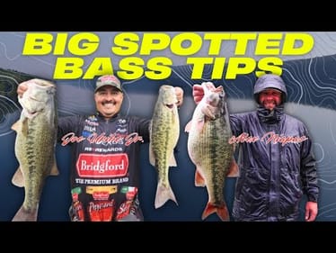 These Anglers DOMINATED Lake Shasta! (Here's How)