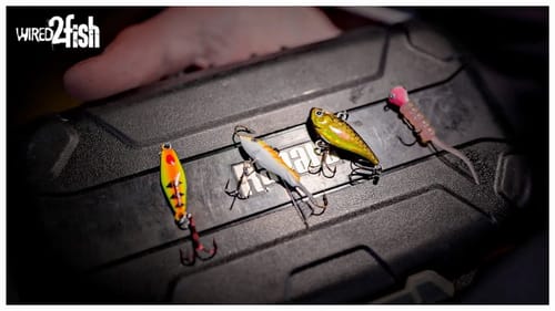 4 Top Crappie Ice Fishing Baits | Underwater View of Each