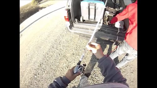 Striper Fishing with Topwater Baits (Ca Aqueduct)(Manning)