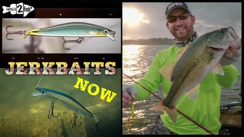 Jerkbait Fishing for Bass: Tips to Maximize Success