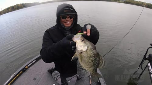 Monster Crappies with Bass Brawl Outdoors