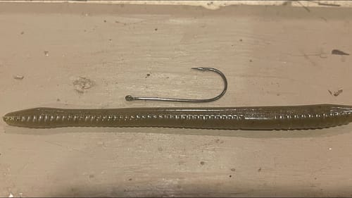 The Biggest Mistake Anglers Make With Finesse Worms