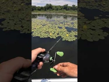 This is why frog fishing is amazing! #shorts #bassfishing