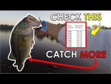 #1 Factor You Ignore When Fishing Shallow For Summer Bass