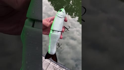 Swimbait Review: Hiroshima 8.5" Soft Tail Trout Glidebait