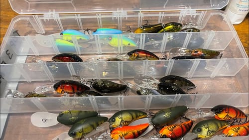 Know When It’s Time To Change Lures…
