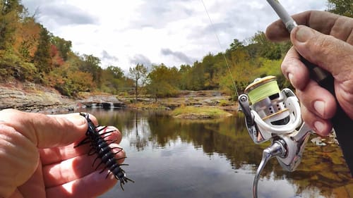 THIS FISHING LURE IS EPIC!!! (Mysterious Creek Fishing)