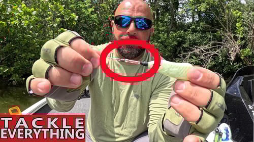Topwater to Finesse - Complete Guide (Gear, Bait, Rig)