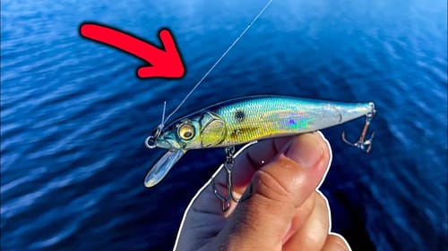 Using This Expensive Fishing Lure Is Like Cheating!