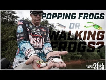 Popping Frogs or Walking Frogs? 🐸