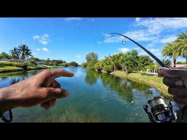 How to Catch Bass In Miami Canals