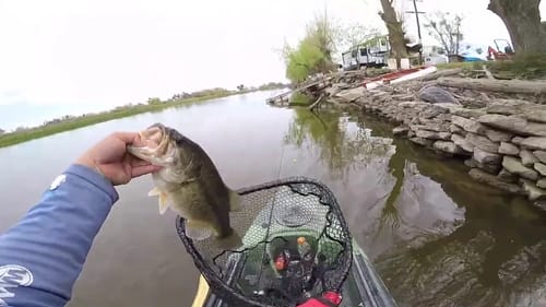Fishing a New Body of Water
