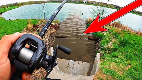Searching for GIANT Bass in Neighborhood Ponds!! (Spring Bank Fishing)