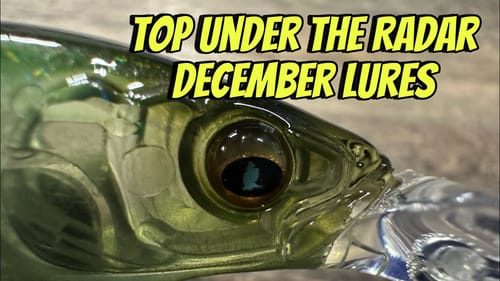 Little Known Lures That Always Catch Bass In December...