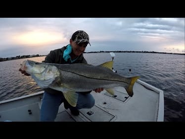 Big Snook Crushing a Topwater