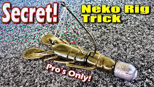 The Pro's Secret Neko Rig Trick