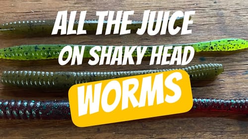 Shaky Head Worm Secrets…Sizes/Profile Selection Tips