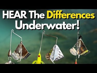 You Won't Believe How Different Buzzbaits Sound (5 Variations Compared)