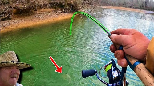WHAT HAS BIT MY WORM IN THIS CREEK!?!